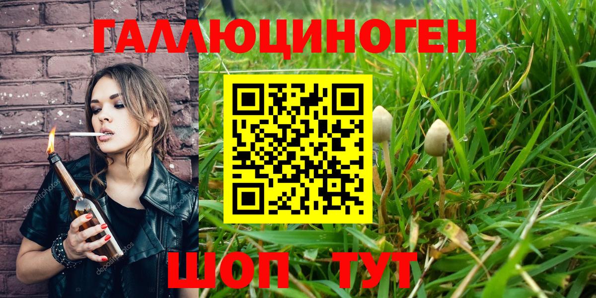 Галлюциногенные грибы мицелий Санкт-Петербург