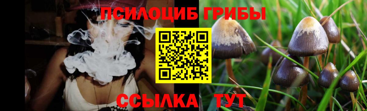 Галлюциногенные грибы Psilocybine cubensis  купить наркотик  Санкт-Петербург  Вход с VPN 